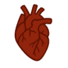 心脏